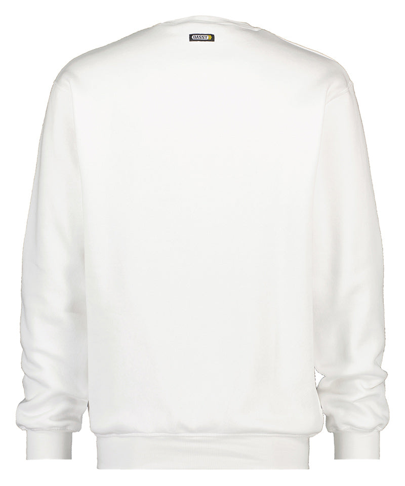 Dassy schilderstrui Lionel achterkant